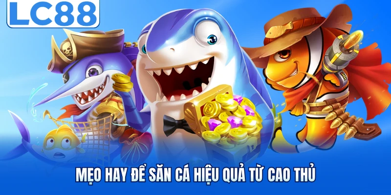 Bắn Cá Online - Bí Quyết Chinh Phục Boss Và Cá Khủng 7 Mẹo hay để săn cá hiệu quả từ cao thủ